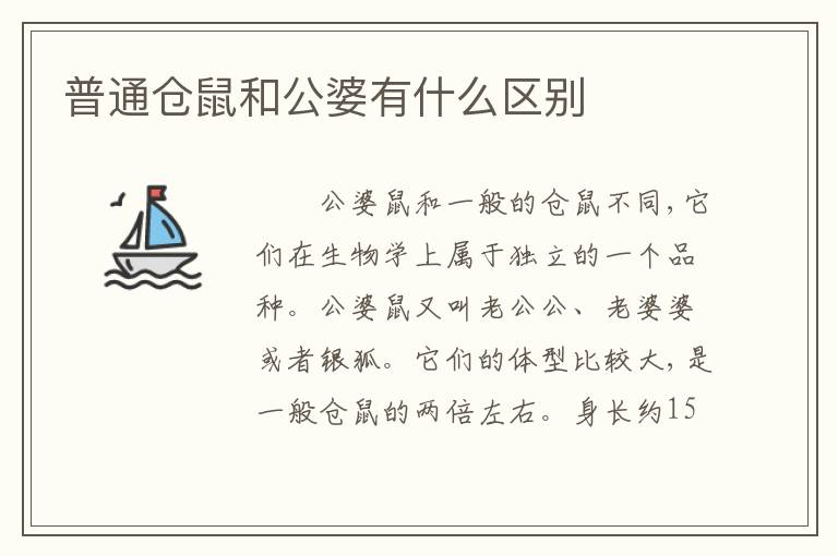 普通仓鼠和公婆有什么区别