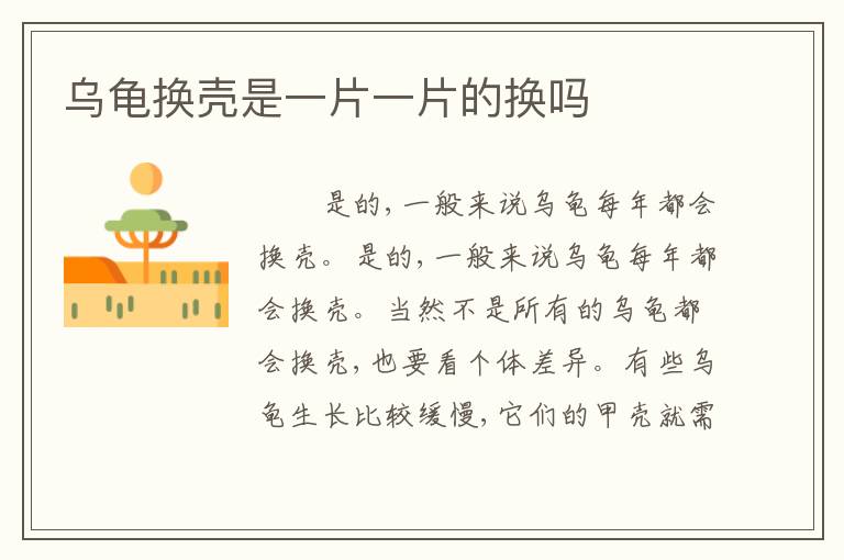 乌龟换壳是一片一片的换吗