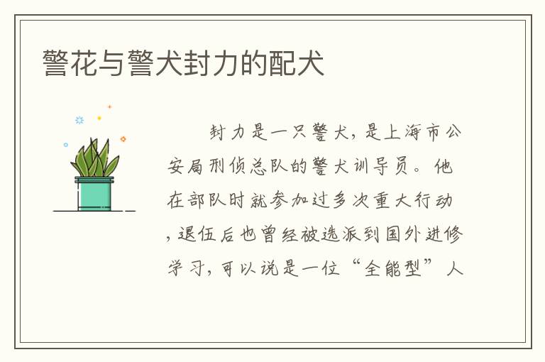 警花与警犬封力的配犬