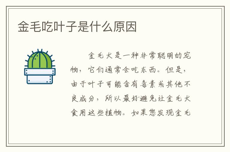 金毛吃叶子是什么原因