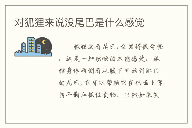 对狐狸来说没尾巴是什么感觉