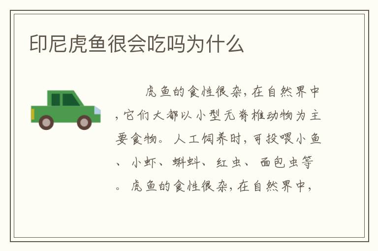 印尼虎鱼很会吃吗为什么