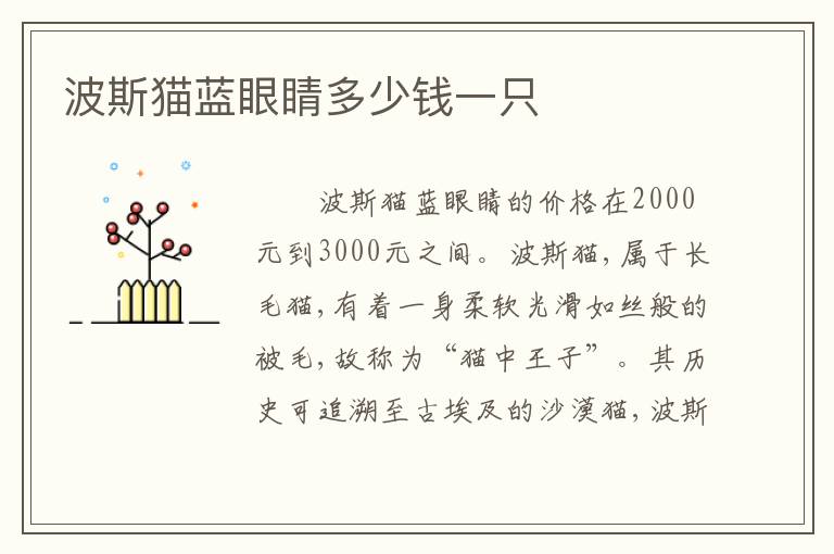 波斯猫蓝眼睛多少钱一只