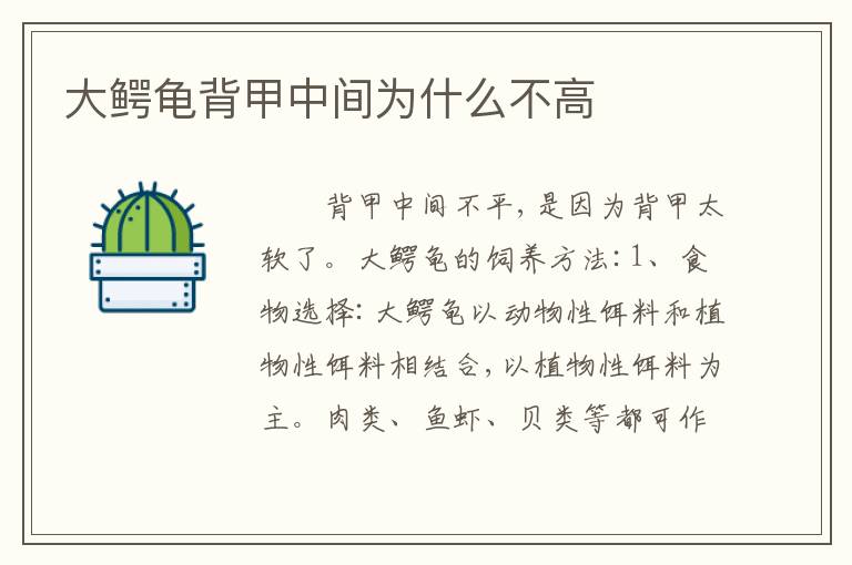 大鳄龟背甲中间为什么不高