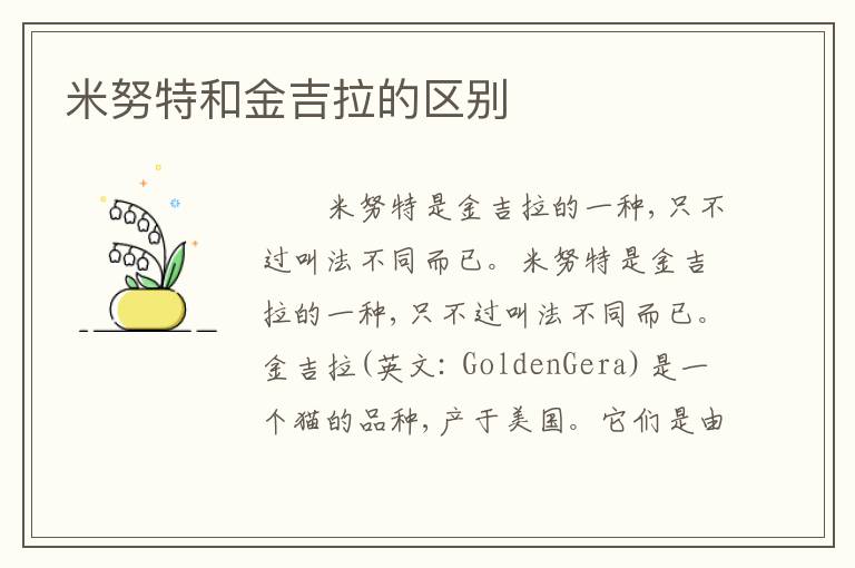 米努特和金吉拉的区别