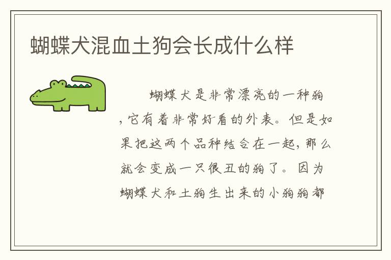 蝴蝶犬混血土狗会长成什么样
