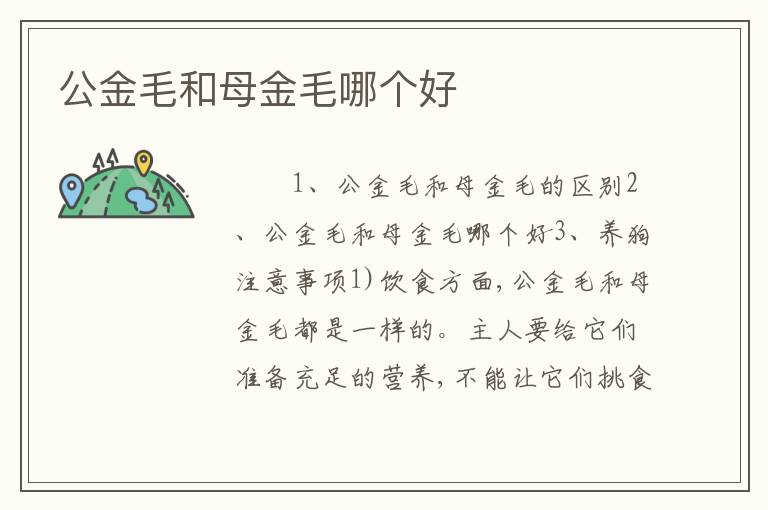 公金毛和母金毛哪个好