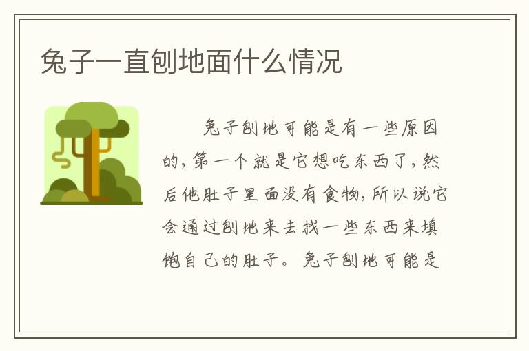 兔子一直刨地面什么情况