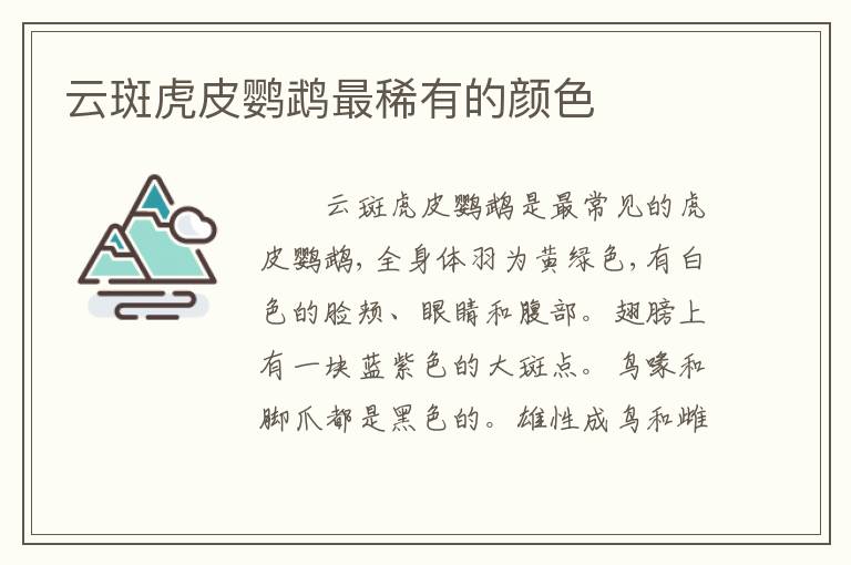 云斑虎皮鹦鹉最稀有的颜色