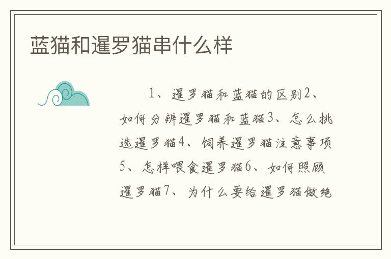 蓝猫和暹罗猫串什么样