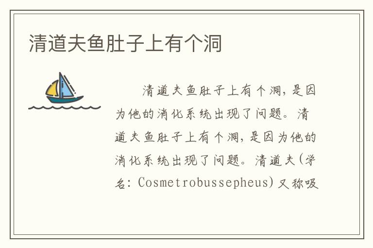 清道夫鱼肚子上有个洞