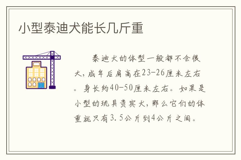 小型泰迪犬能长几斤重