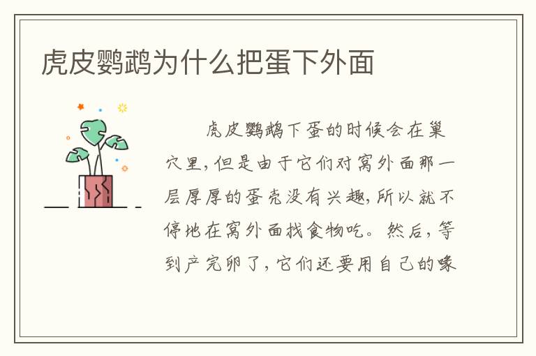 虎皮鹦鹉为什么把蛋下外面