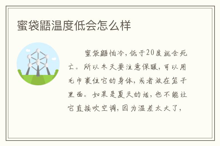 蜜袋鼯温度低会怎么样