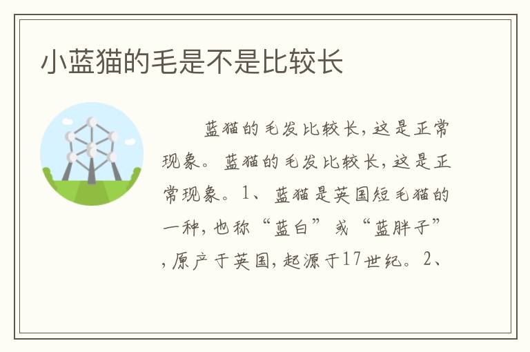 小蓝猫的毛是不是比较长