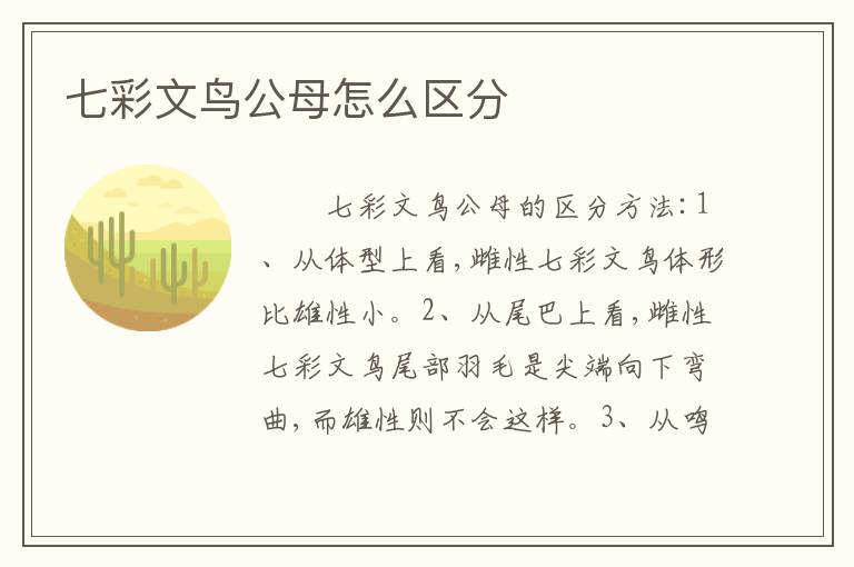 七彩文鸟公母怎么区分