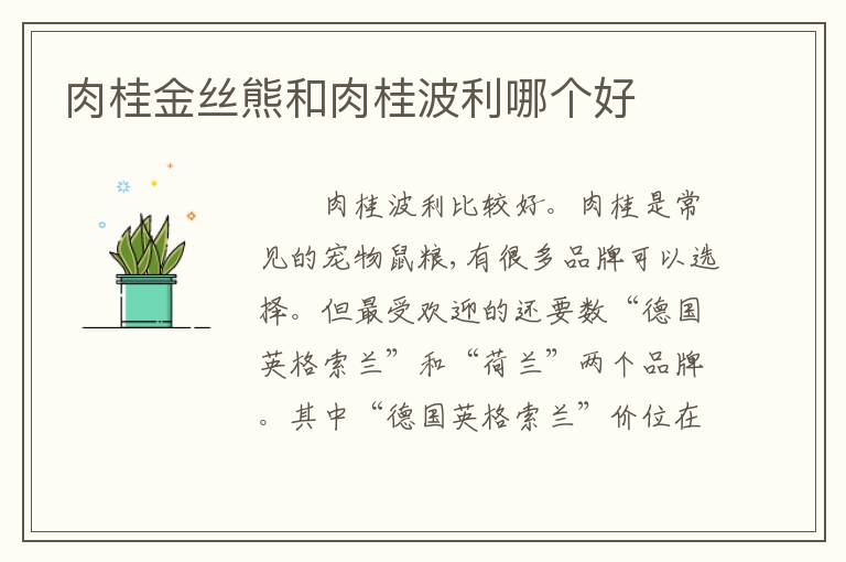 肉桂金丝熊和肉桂波利哪个好
