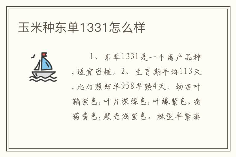 玉米种东单1331怎么样
