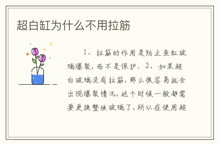 超白缸为什么不用拉筋