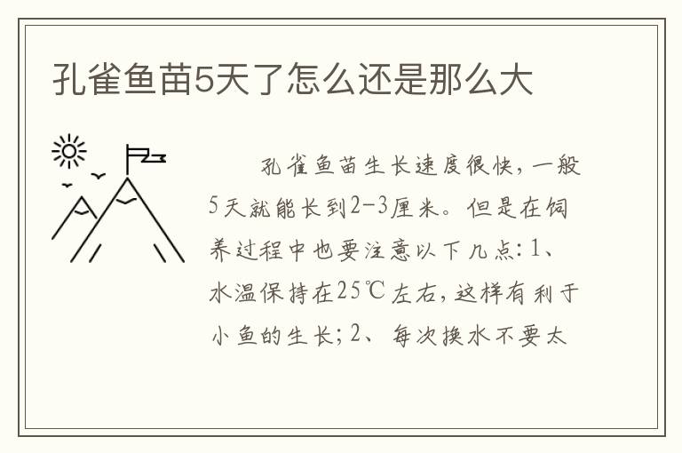 孔雀鱼苗5天了怎么还是那么大