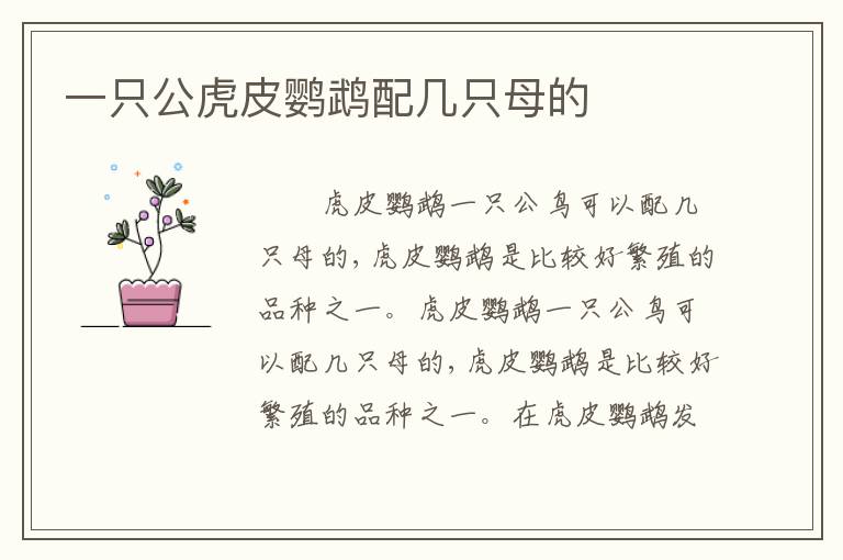 一只公虎皮鹦鹉配几只母的