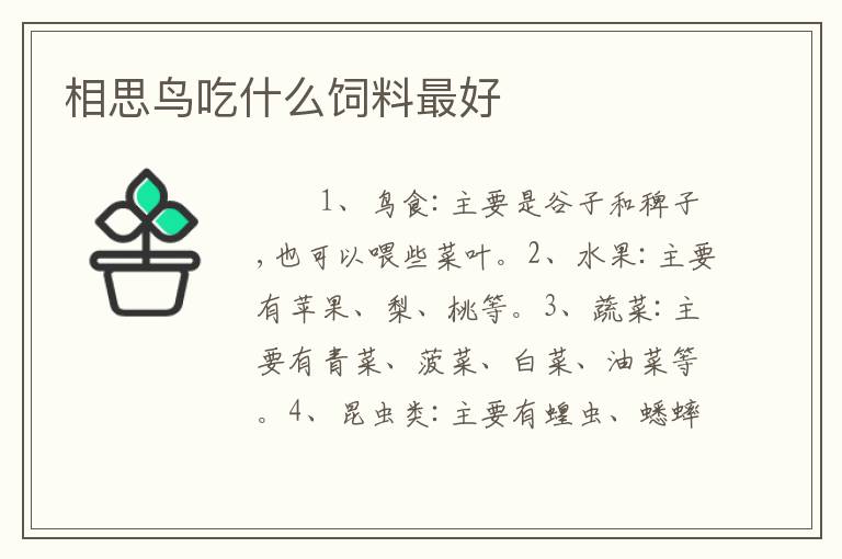 相思鸟吃什么饲料最好