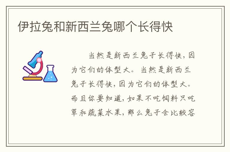 伊拉兔和新西兰兔哪个长得快