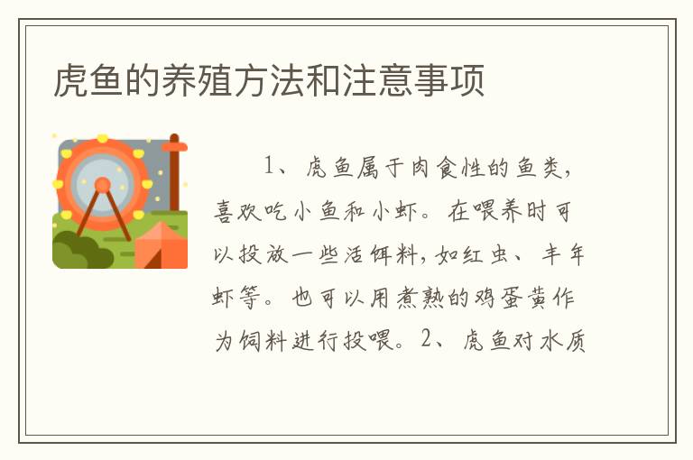 虎鱼的养殖方法和注意事项