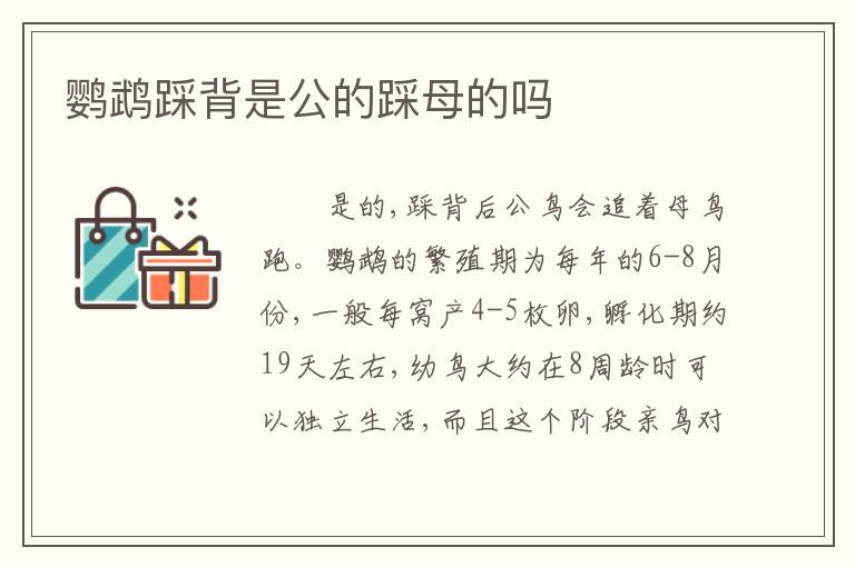鹦鹉踩背是公的踩母的吗