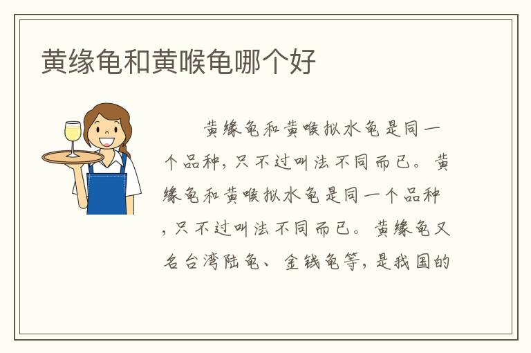 黄缘龟和黄喉龟哪个好
