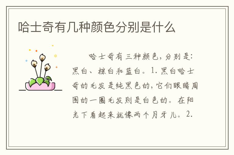 哈士奇有几种颜色分别是什么
