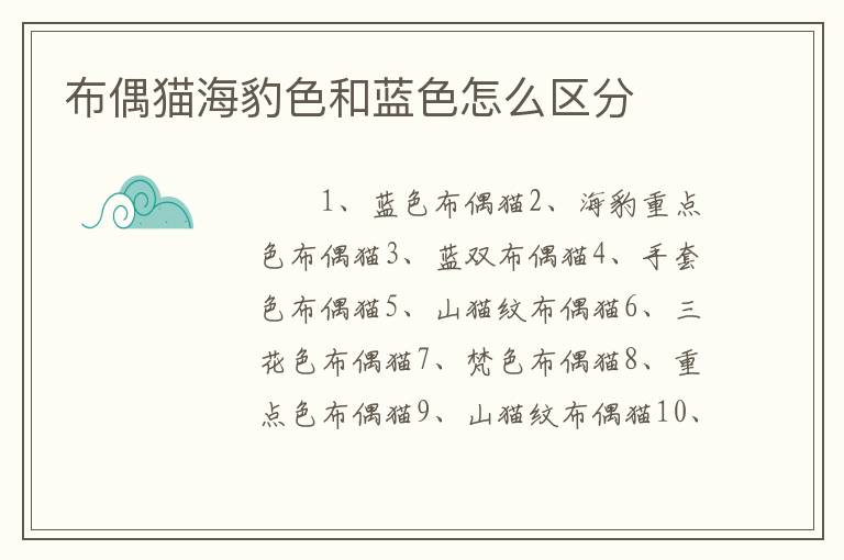 布偶猫海豹色和蓝色怎么区分