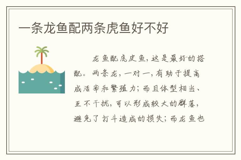 一条龙鱼配两条虎鱼好不好